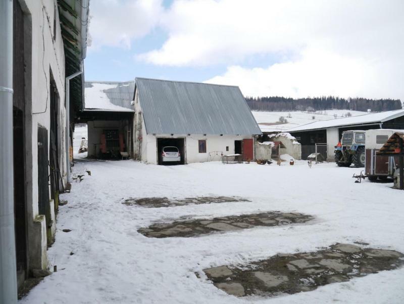 Pod Kasztanem Gospodarstwo Agroturystyczne Stronie Śląskie Exteriér fotografie