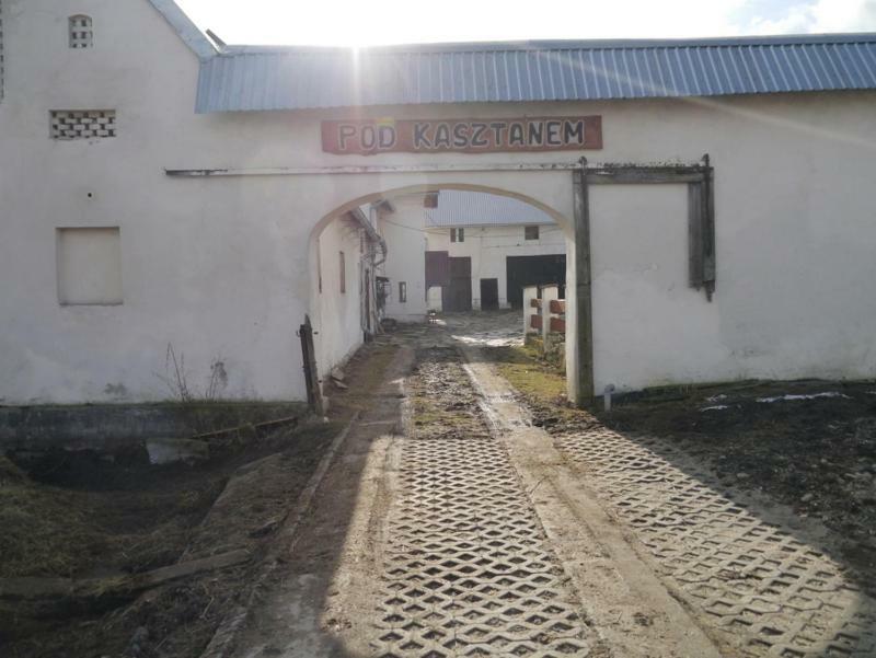 Pod Kasztanem Gospodarstwo Agroturystyczne Stronie Śląskie Exteriér fotografie