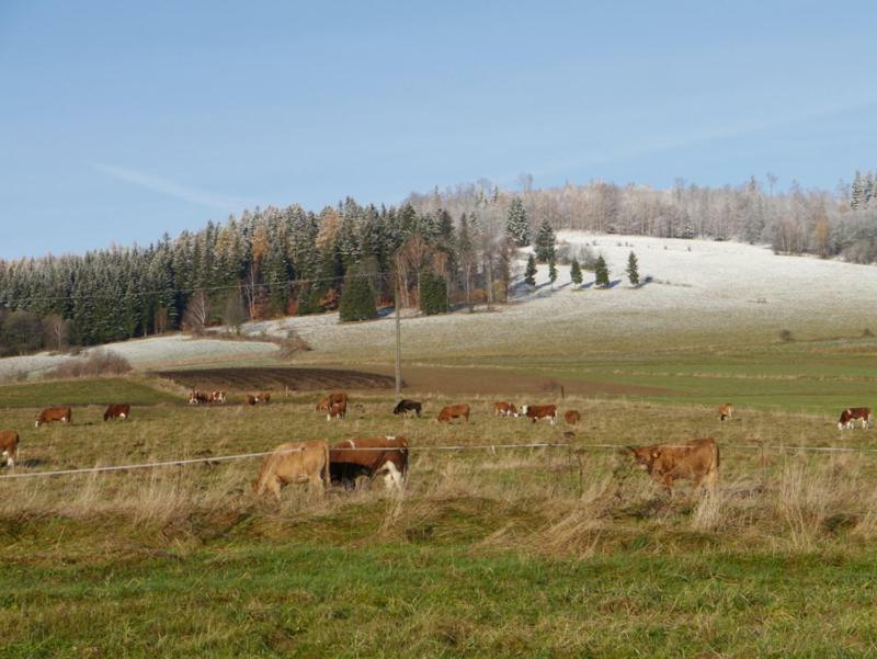 Pod Kasztanem Gospodarstwo Agroturystyczne Stronie Śląskie Exteriér fotografie